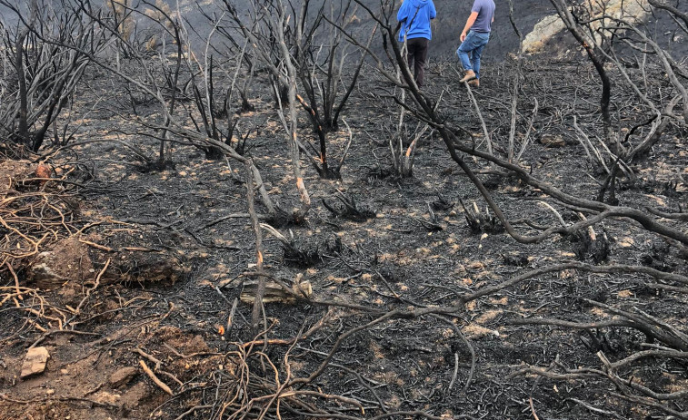 Más de 1.700 hectáreas quemadas en Ribas de Sil en dos incendios tras una semana