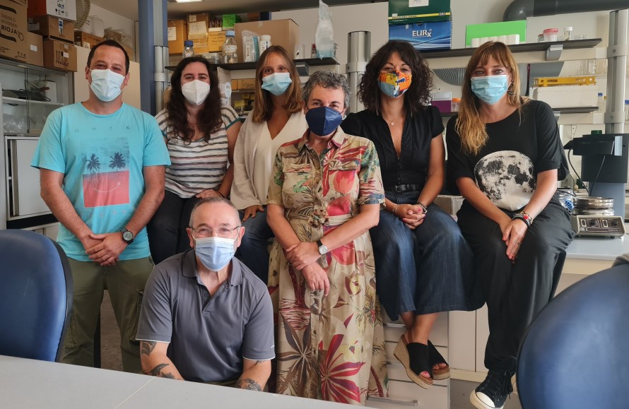 Equipo investigaciu00f3n ARENA de la Universidad de Oviedo