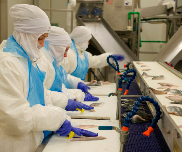 Archivo - Imagen de recurso de trabajadores de Profand Fishing Holding.