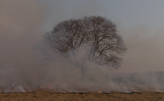 Jornada 'Da emerxencia (creativa)'