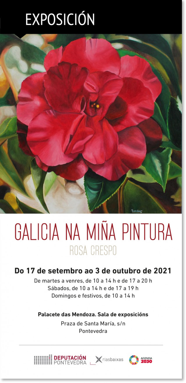 El Palacete de las Mendoza, sede de Turismo Rías Baixas, acoge desde este viernes una exposición de Rosa Crespo