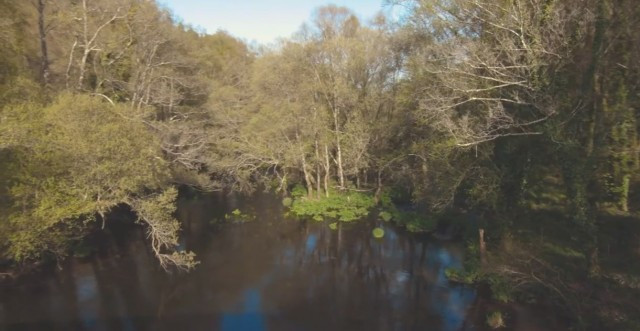 Pantano guitiriz g24