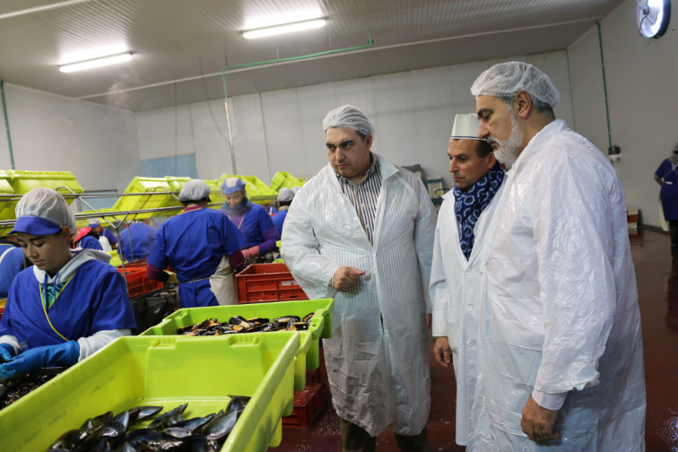 La conservera Bateamar,  de Cambados 