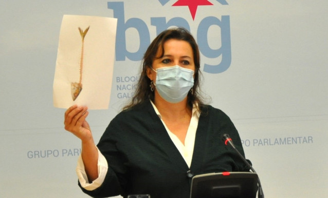 La portavoz del Bloque en Europa, Ana Miranda