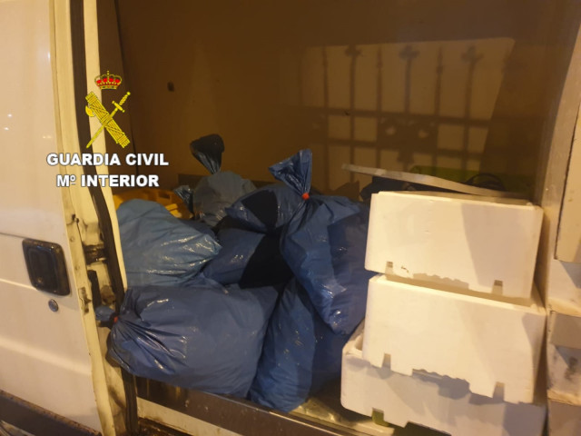 Decomiso de 225 kilos de cigala fresca