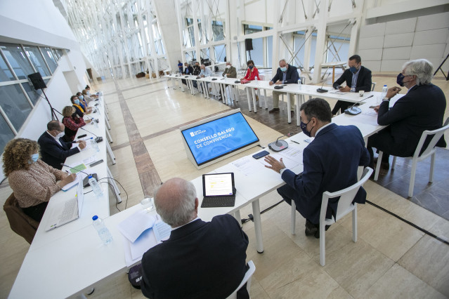 Reunión del 'Consello Galego de Convivencia'.