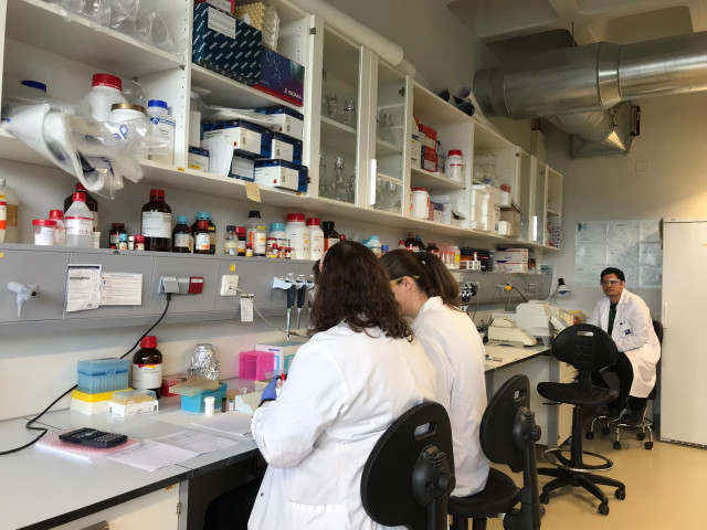 Archivo - Foto recurso tomada en el laboratorio del CIMUS, en Santiago de Compostela. Investigación, Laboratorio, ciencia, I+D+i