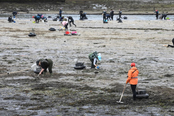 Archivo - Marisqueo en esteiro