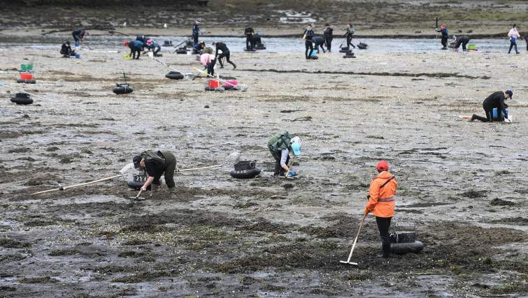 La Xunta publica este lunes el nuevo baremo para solicitudes de marisqueo a pie