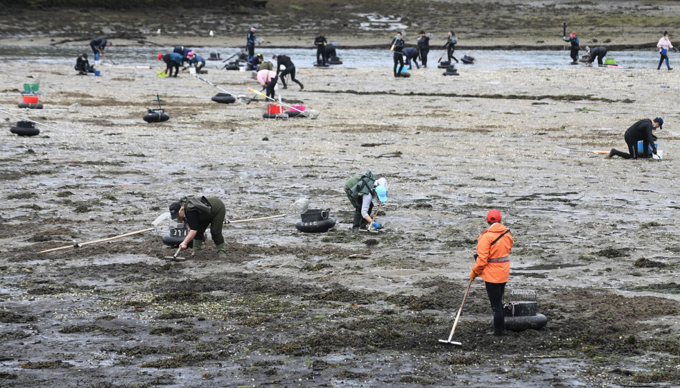 Archivo - Marisqueo en esteiro