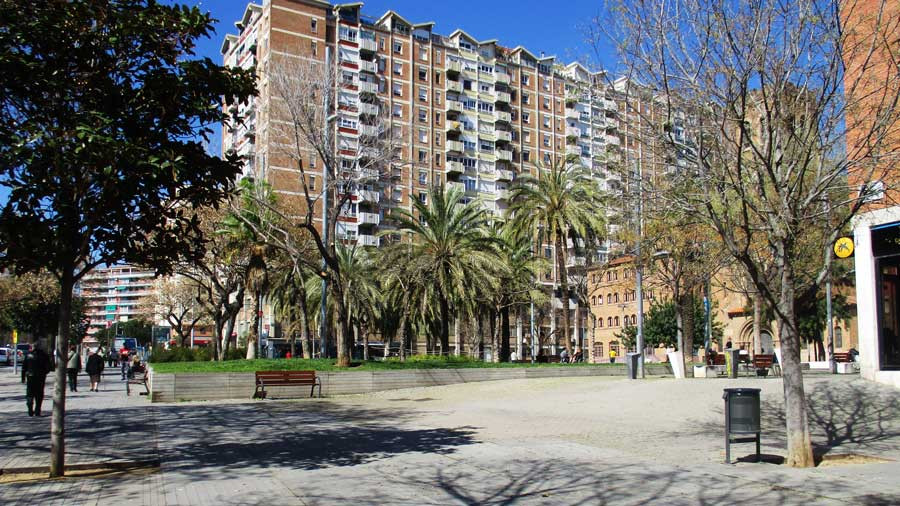 Plaza de Barcelona de Elche en una foto de Hercal
