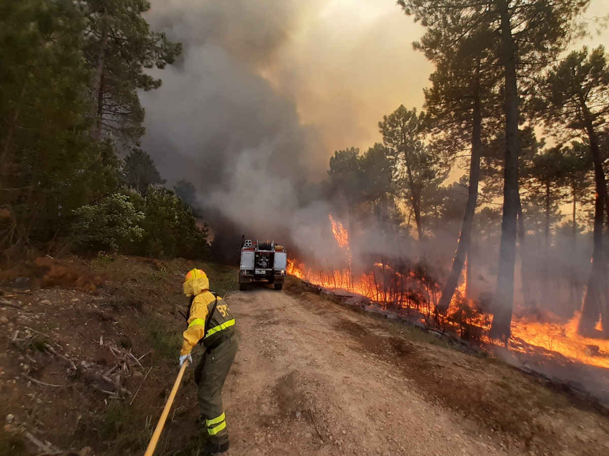 Archivo - WWF pide al Gobierno que la declaración de zona catastrófica por incendios incluya un plan de restauración integral