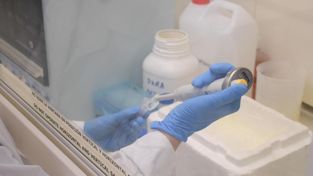 Una investigadora trabaja en un laboratorio