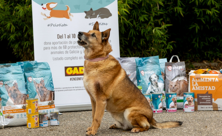 ​Casi 80 toneladas de comida para los perros y gatos de más de 60 protectoras gracias a Gadis y sus clientes