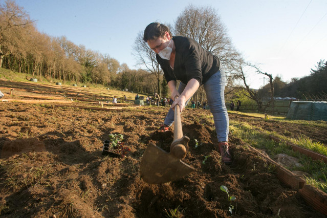 Archivo - Una mujer, Ana trabaja su huerto con mascarilla en el Parque del Río Rato, en Lugo, Galicia (España), a 24 de marzo de 2021. El sector primario ha sido fundamental durante la pandemia. Agricultores y ganaderos han dado lo mejor de sí mismos para