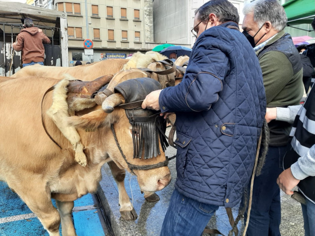 Miembros del colectivo 'Agromuralla' de Lugo