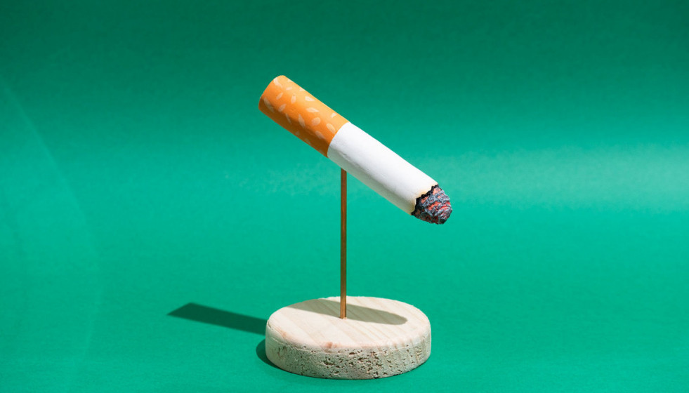 Escultura de Pava realizada por Laura Pazos