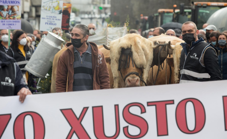 Huelga de entregas de leche: No circulará 