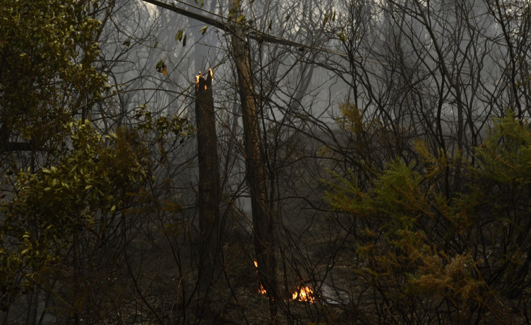 Galicia baja por primera vez del millar de incendios en 2021 con 4.371 hectáreas arrasadas ​por el fuego