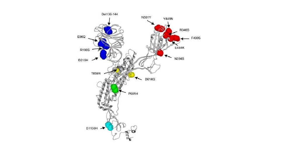 Estructura de la variante covid IHU en una imagen prepublicada en medrxiv