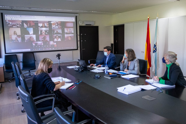 La conselleira de Emprego e Igualdade, María Jesús Lorenzana, asiste telemáticamente al pleno del Consello da Economía Social de Galicia