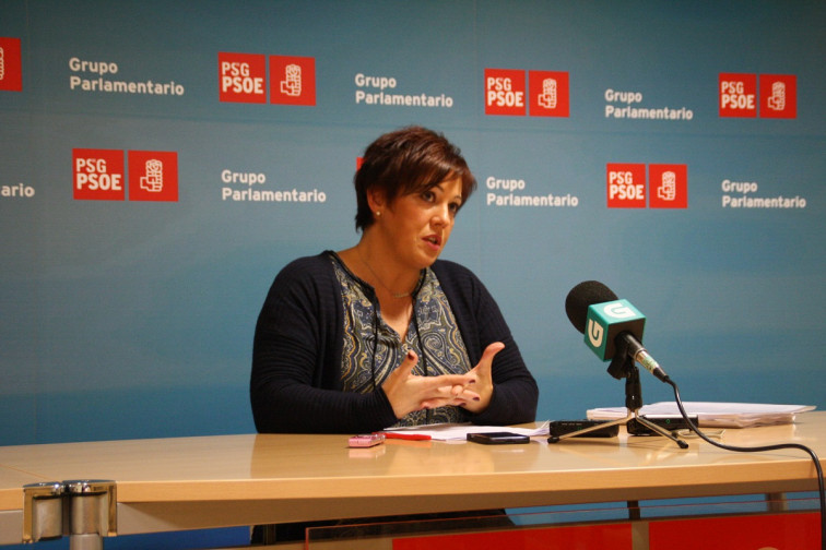 Rodríguez Rumbo, Torrado y Leticia Gallego, nuevos viceportavoces del PSdeG en el sitio de Aragüena y Castro