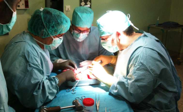 Galicia anotó 112 donaciones de órganos y realizó 298 trasplantes en 2021