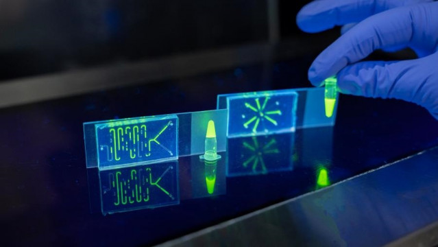 Imagen de un chip en fluorescencia