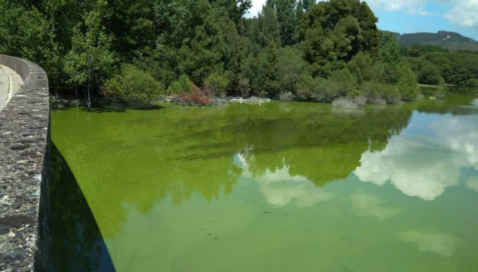 As conchas ecoloxistas en accion