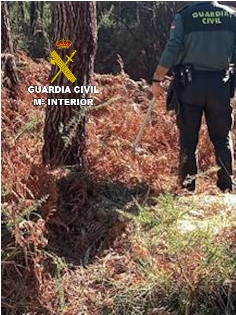 Detenido un vecino de Rianxo por el huerto de 60 cabillas de una embarcación