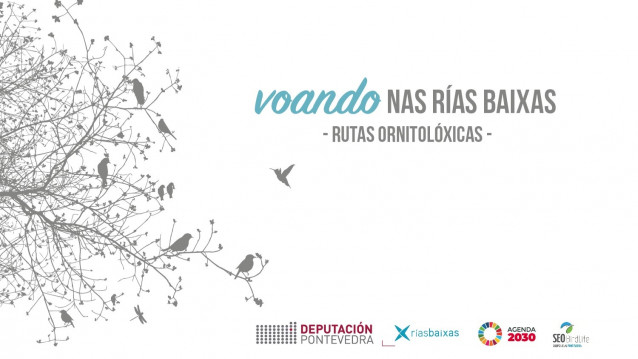 Archivo - Las Brañas de Xestoso acogerán la primera ruta ornitológica de un programa de la Diputación de Pontevedra