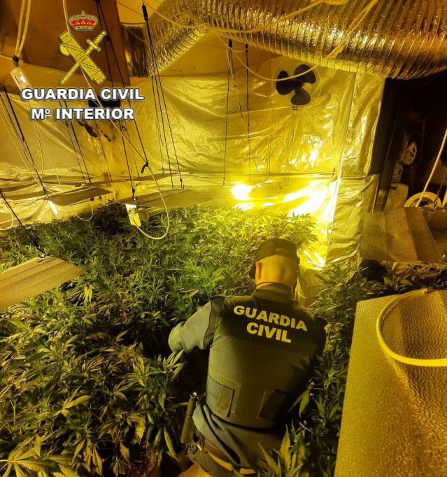 Plantación de marihuana indoor en una casa de Tomiño (Pontevedra)