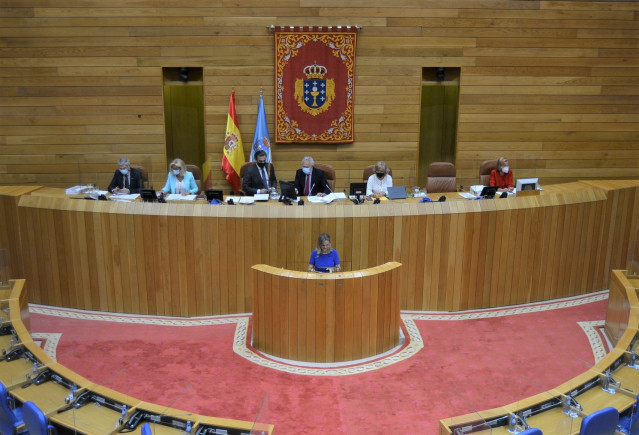 Archivo - La valedora do Pobo, María Dolores Fernández Galiño, en el pleno de la Cámara gallega