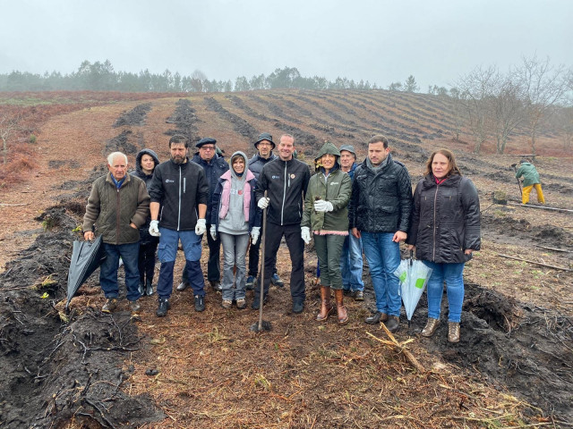 Labores de plantación de árboles autótonas en Cercedo-Cotobade (Pontevedra), fruto de la campaña 'Camiño da reciclaxe'