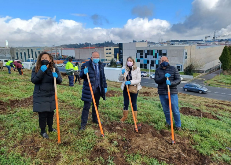 ​Viaqua incentiva la candidatura del Carballo de Conxo a ‘Árbol Europeo 2022’ con la creación de su propio bosque