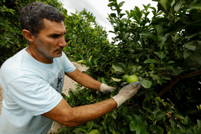 Archivo - Agricultor en el campo