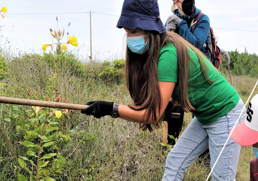 Voluntaria combatiendo especies invasoras en una foto de ADEGA