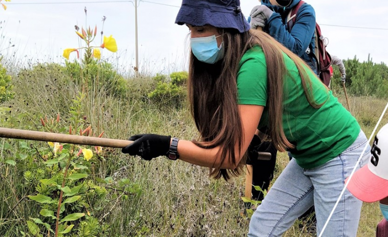 Voluntarios eliminarán especies invasoras de la Lagoa de Baldaio organizados por ADEGA y apoyados por Fundación LaCaixa