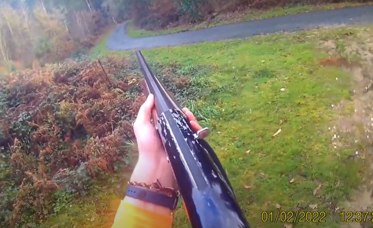 (VÍDEO) Un cazador dispara hacia una carretera en plena batida: 