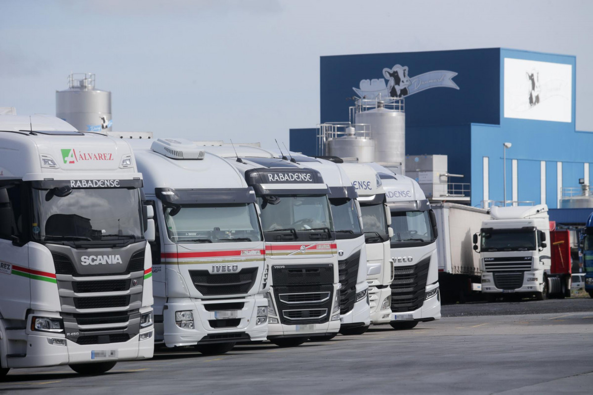 Varios camiones parados en la dársena de Transportes Rabadenses, una de las mayores empresas de transporte de la provincia de Lugo