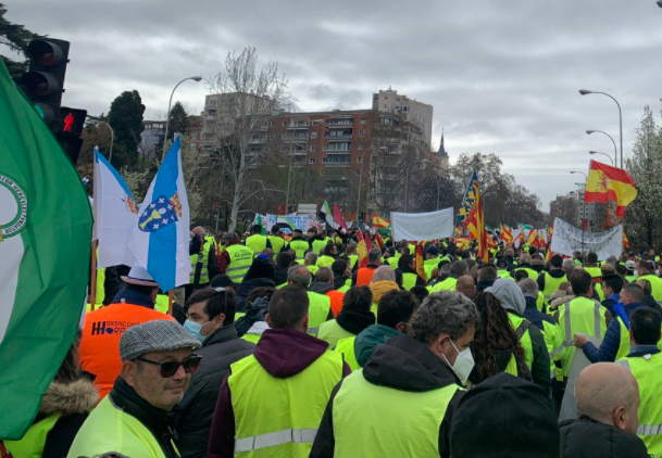 Bandera de Galicia en la protesta que la Plataforma por la Defensa del Transporte estu00e1 relizando este viernes por el centro de Madrid