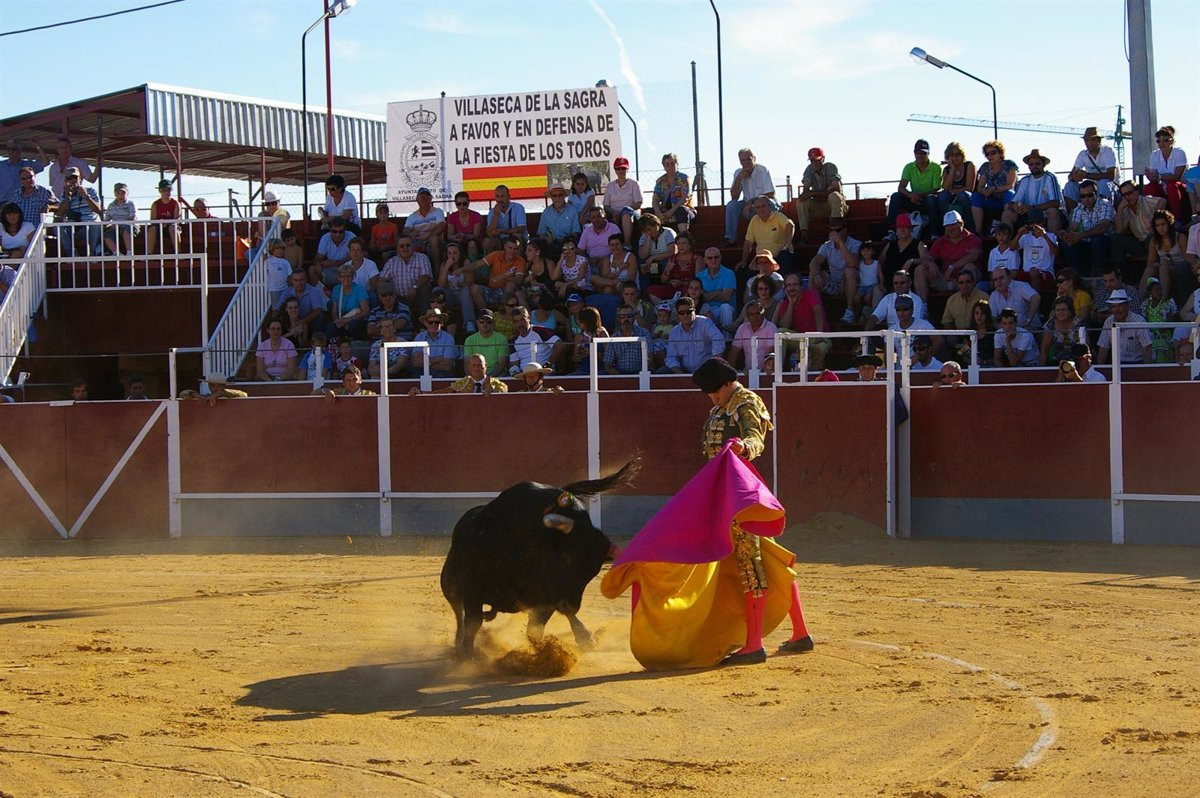 Toros toreo