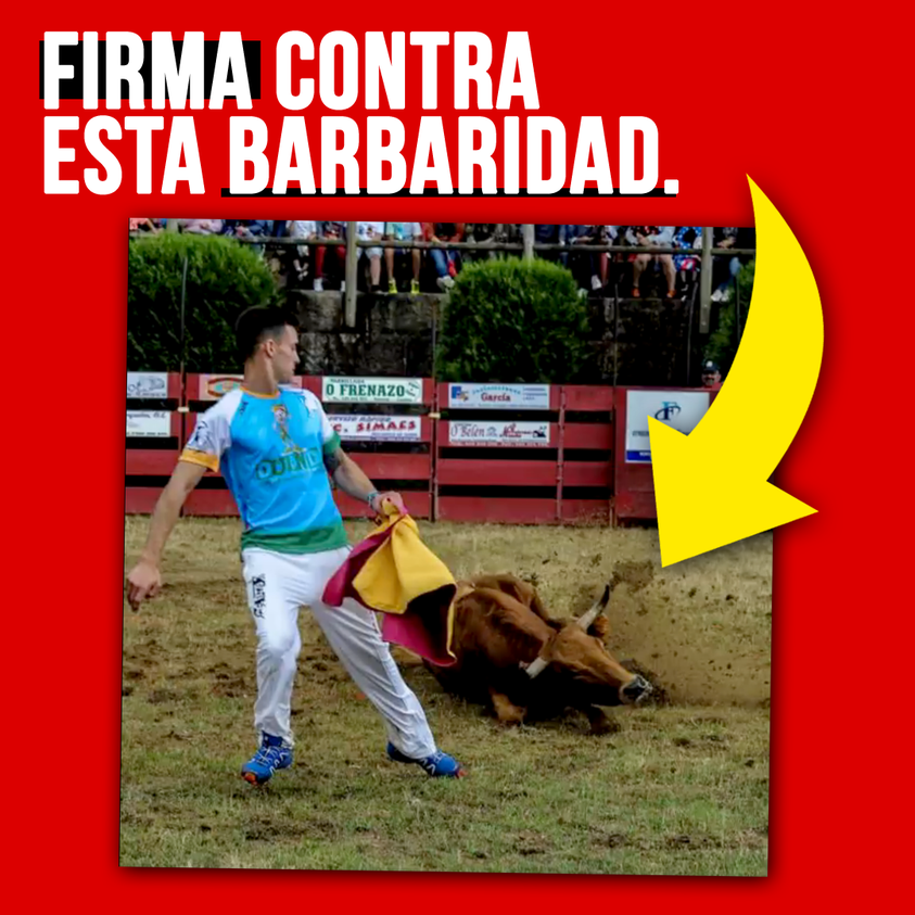 278080704 5557645934275237 5598288661128500931 n