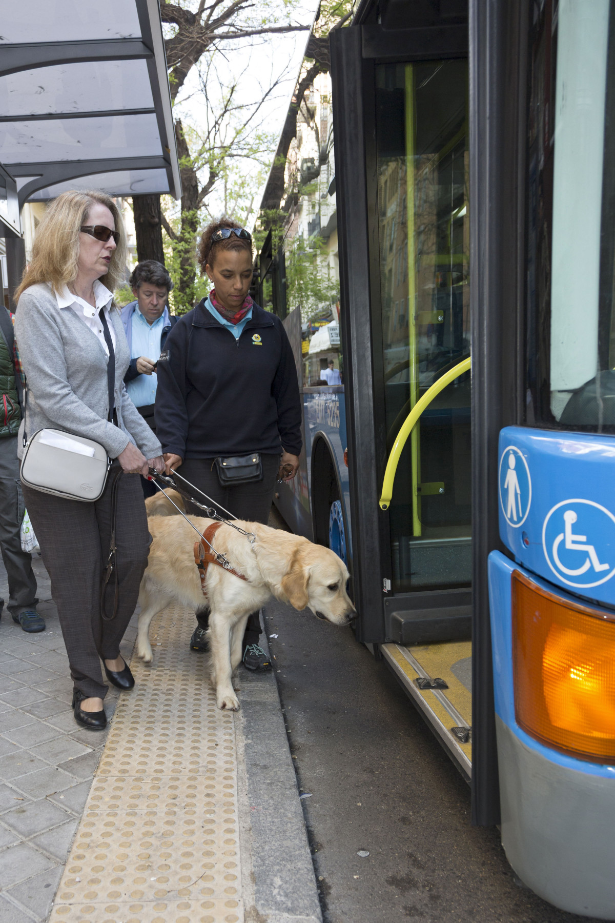  Acceso al autobús de transporte público con un perro de la ONCE