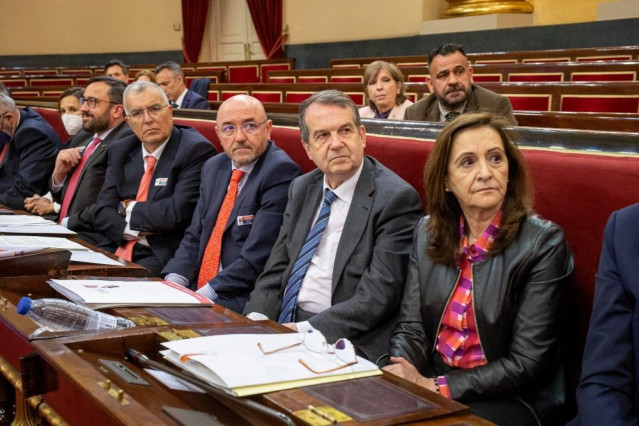 El alcalde de Vigo y presidente de la FEMP, Abel Caballero, durante el Pleno Nacional de Protección Civil celebrado en el Senado el 25-4-2022.