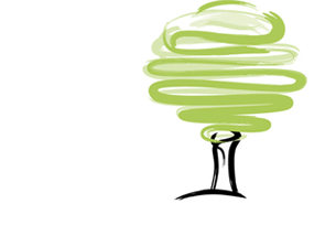 Dia planea cerrar parte de sus supermercados El Árbol en Galicia