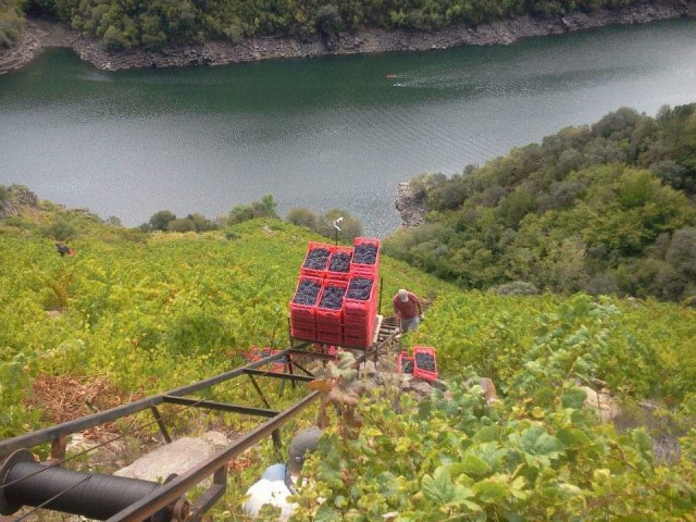 La bodega Régoa, en Sober (Lugo).