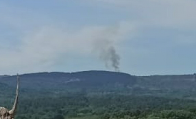 Se declara un incendio forestal este mediodía en el monte  de Ferreira de Pantón (Lugo)