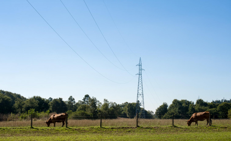 ​Naturgy dispone 545 millones de euros para invertir en mejorar el servicio eléctrico en Galicia hasta 2025