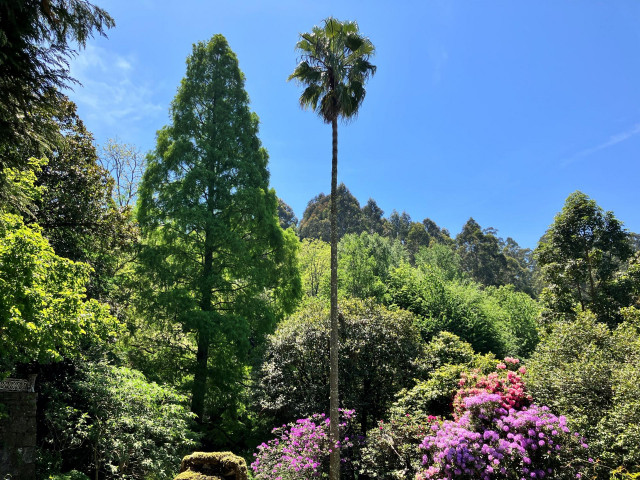 El jardín botánico de Lourizán, distinguido por la Asociación Ibero-Macaronésica de Jardines Botánicos.